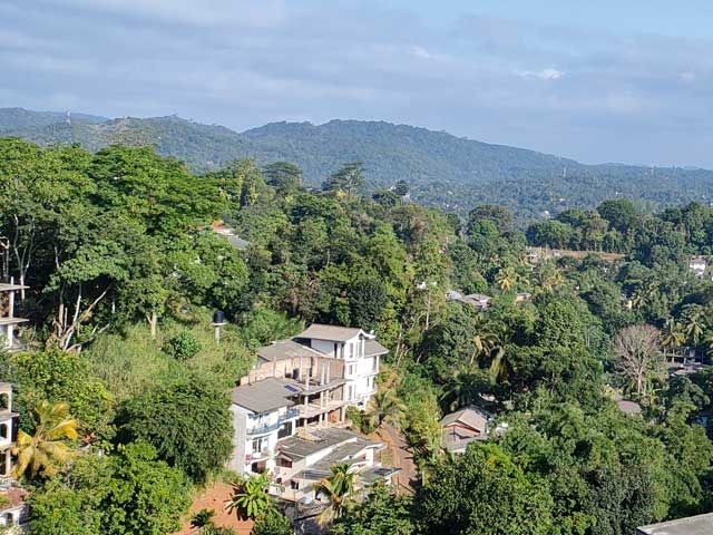 Tina und ihre Abenteuerliche Busfahrt von Colombo nach Kandy