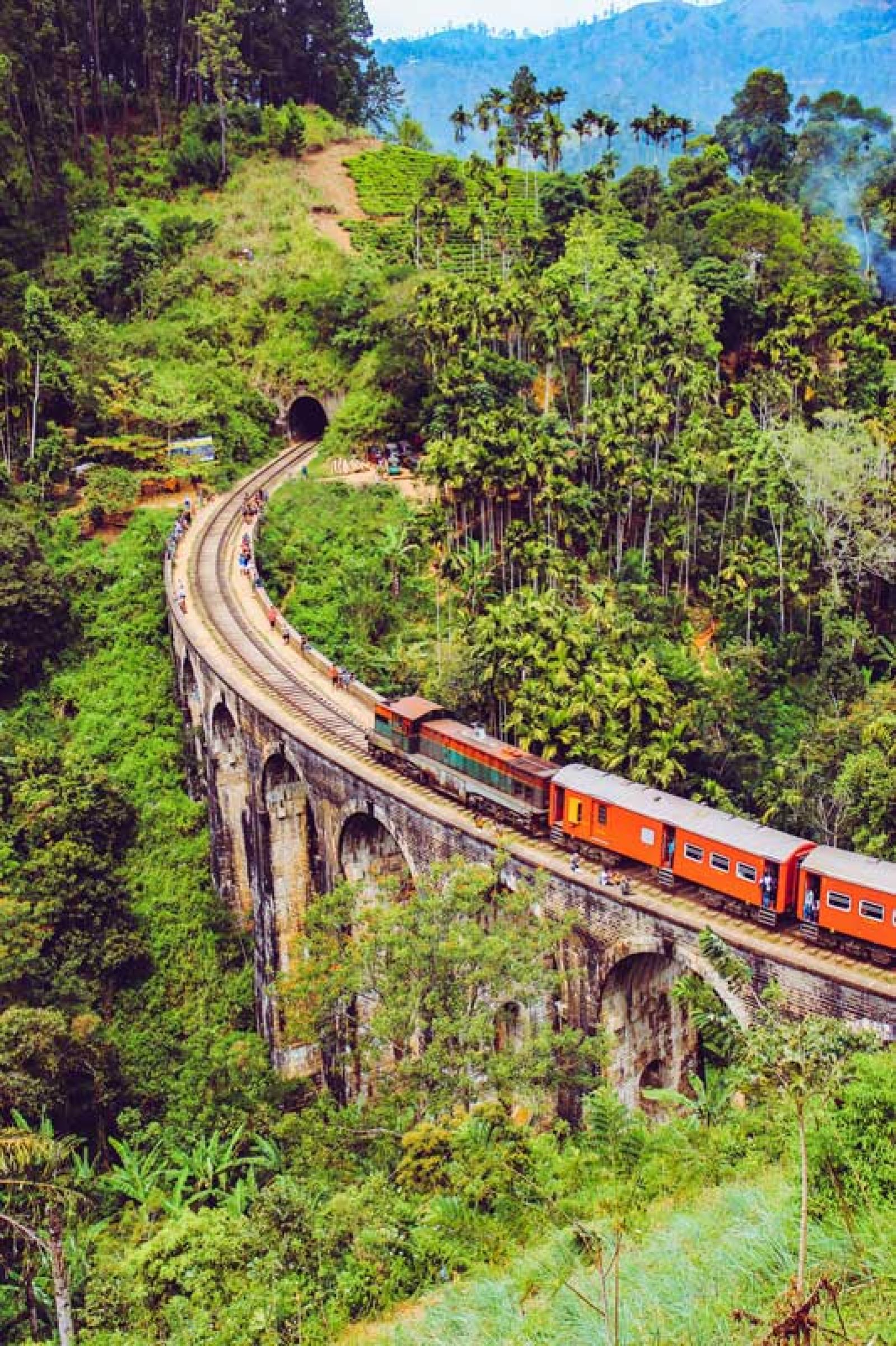 Der ELLA ODYSSEY ist ein neuer Sonderzug, der auf der Strecke zwischen Kandy und Ella in Sri Lanka verkehrt.