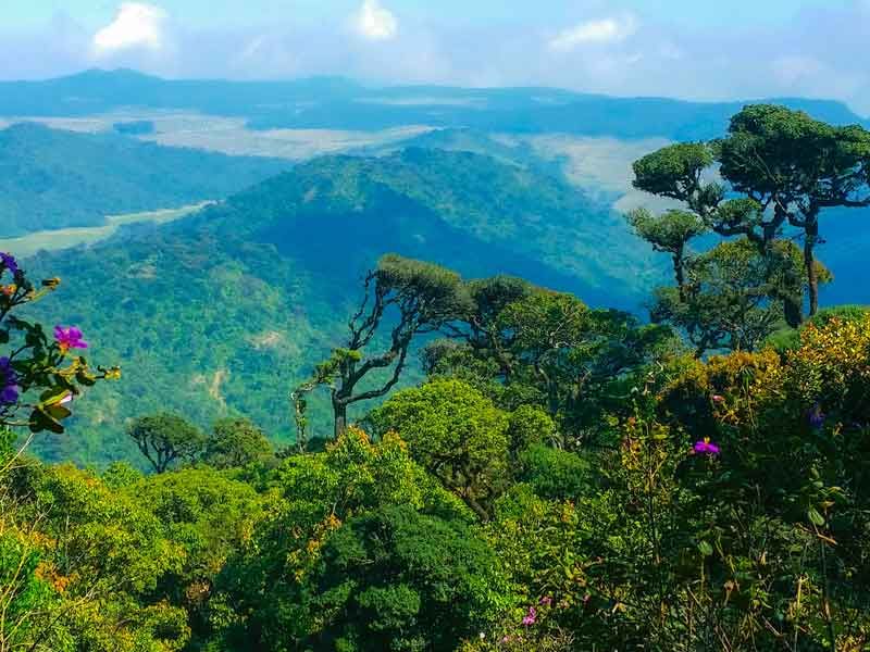 Nationalparks in Sri Lanka