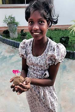 Entwicklung Minushi August 2023