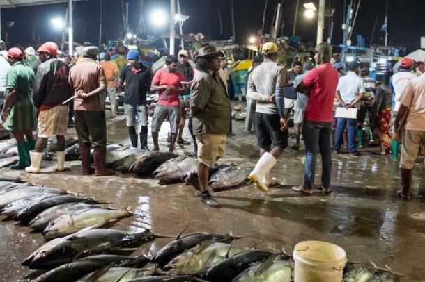 Hier gibt es frischen Fisch aus dem Meer.